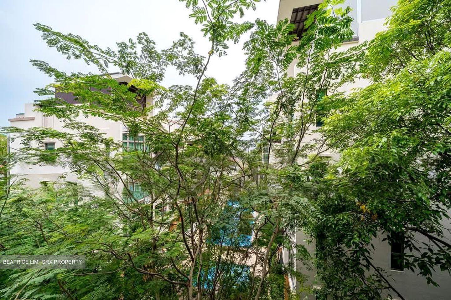 Carpmael 38 (D15), Condominium #574306641